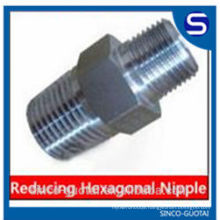 Stainless Steel Hexagon Reduced Nipple